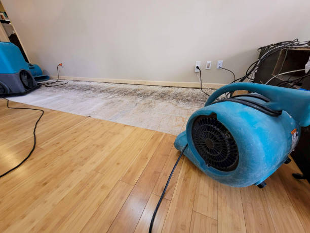 Professional Sewage Cleanup technician working in Belfast, TN